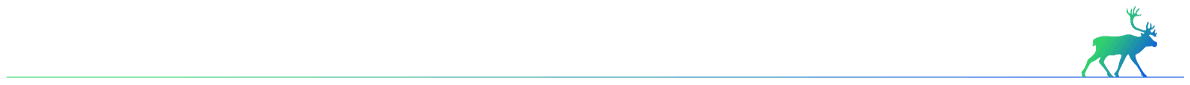 Footer Divider